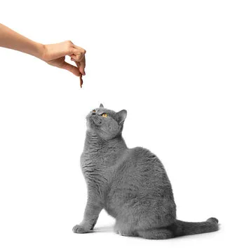 我们的故事 - 沐鸣2